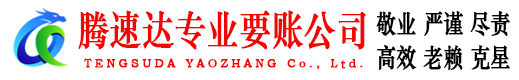 湖北腾速达收债公司